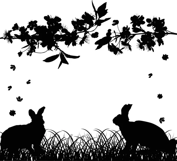 Rabbits under cherry tree flowers on white — Stock Vector