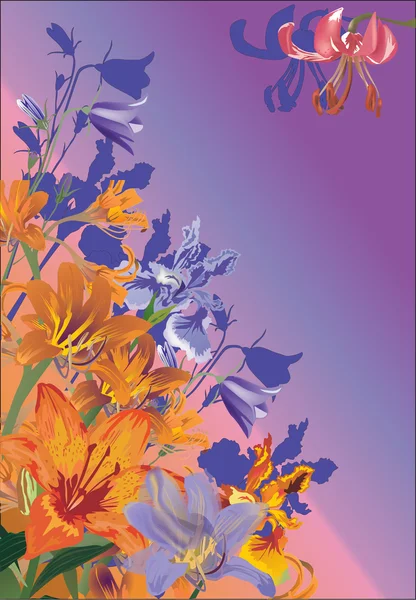 Oranje en violet bloemen illustratie — Stockvector