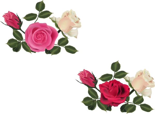 Duas composições simples com flores de rosa — Vetor de Stock