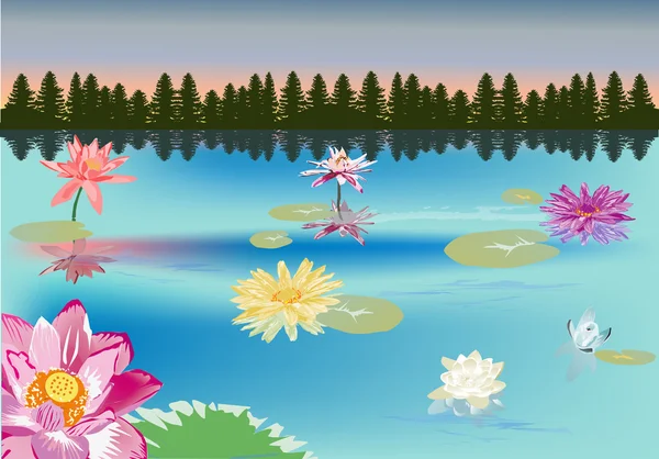 Water lily in meer in de buurt van groen bos — Stockvector