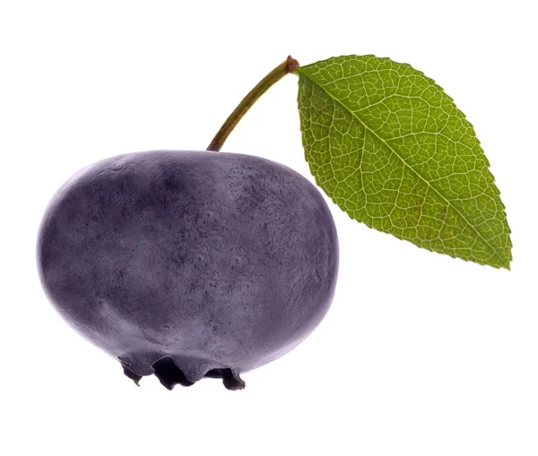 Single blueberry with green leaf — Stock Photo, Image