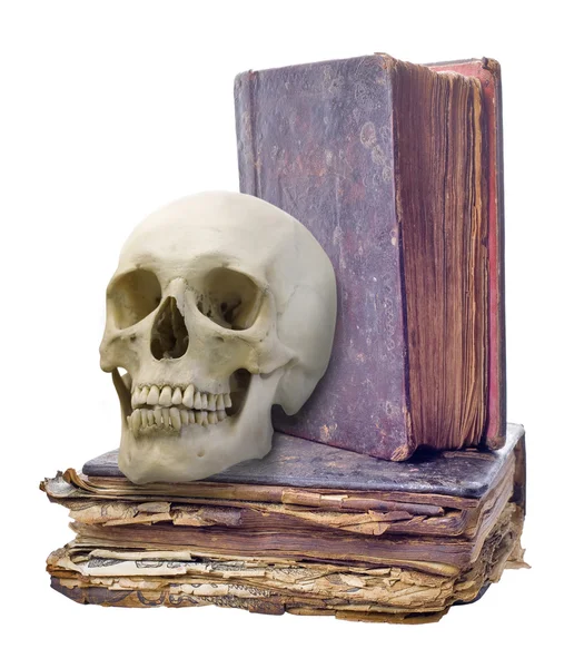 Crâne et deux vieux livres — Photo
