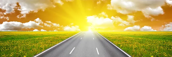 Road in dandelions field to orange sky — Stock Photo, Image