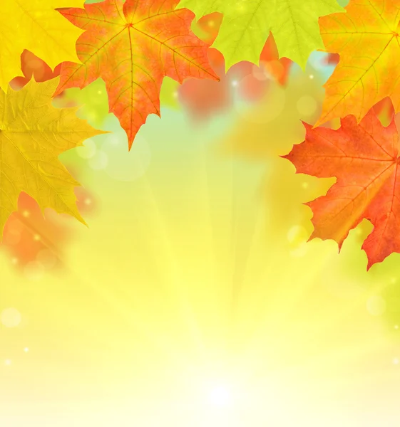 Bright autumn maple leaves half frame — Stock Photo, Image