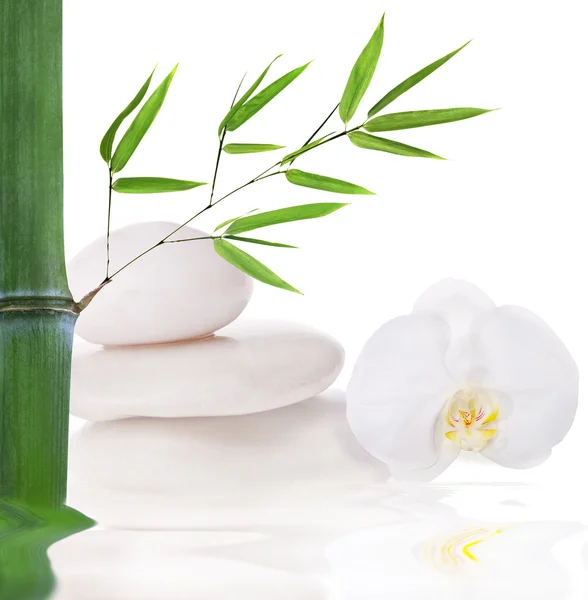 Композиція з камінням, бамбуком і білою орхідеєю — стокове фото