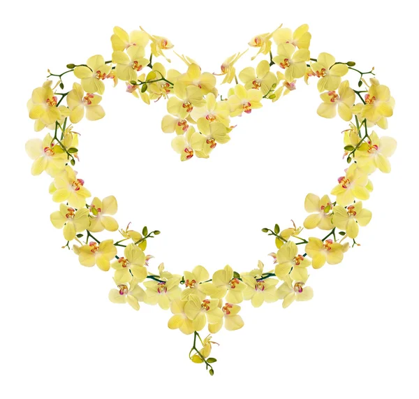 Heart shape frame from yellow orchid flowers — Stock Photo, Image