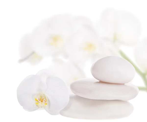 Три камені і білі орхідеї — стокове фото