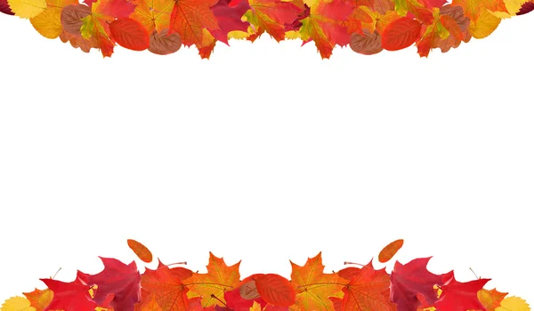 Světlé podzimní listí rám na bílém pozadí — Stock fotografie