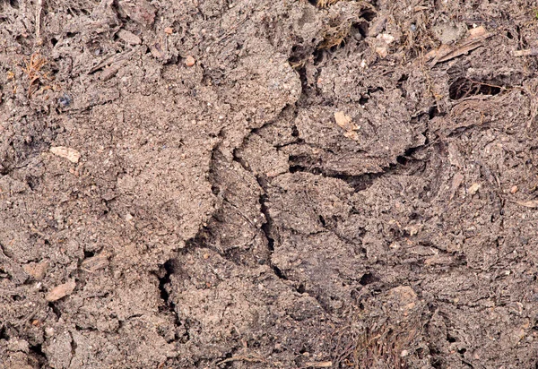 Gleby brązowe tło makro — Zdjęcie stockowe