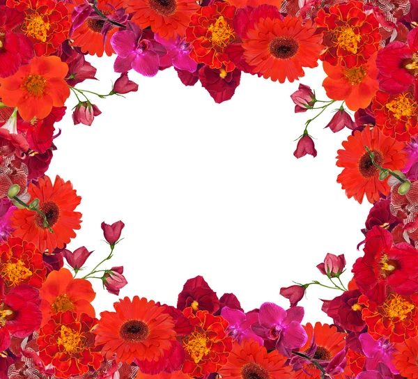 Decoration with red flowers frame isolated on white — Stock Photo, Image