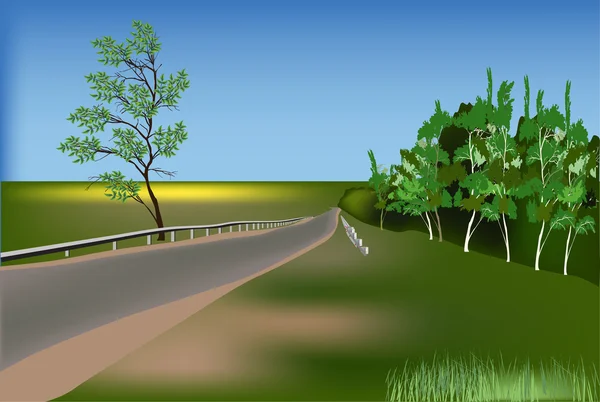 Camino en bosque verde bajo cielo azul — Vector de stock