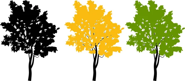 Trzy kolory drzewa na białym tle — Wektor stockowy