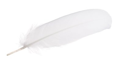 beyaz izole düz geçiş yumuşatma