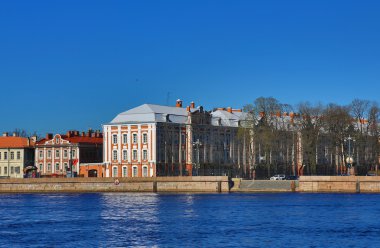 Saint-petersburg Devlet Üniversitesi yapı