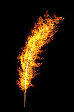 hell orange Flamme Feder