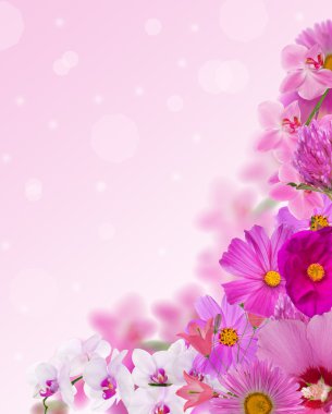 Köşeden farklı pembe çiçekler