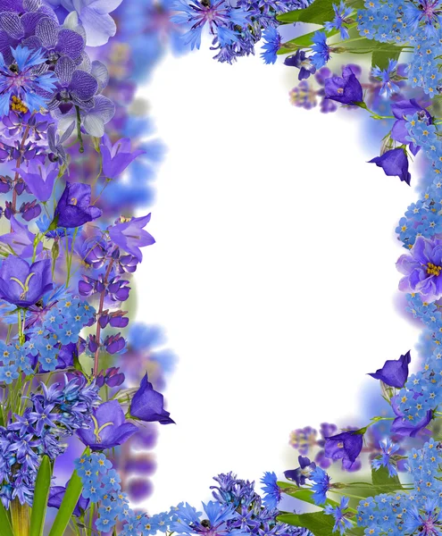 白地にブルーの花のフレーム — ストック写真