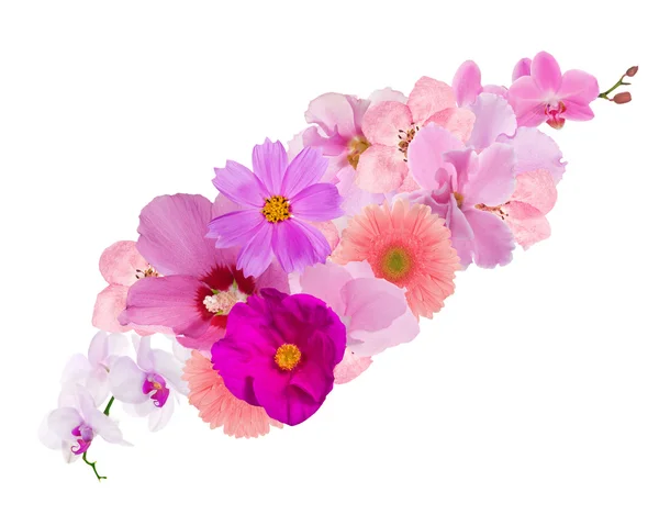 Decoração de flores rosa isolado em branco — Fotografia de Stock