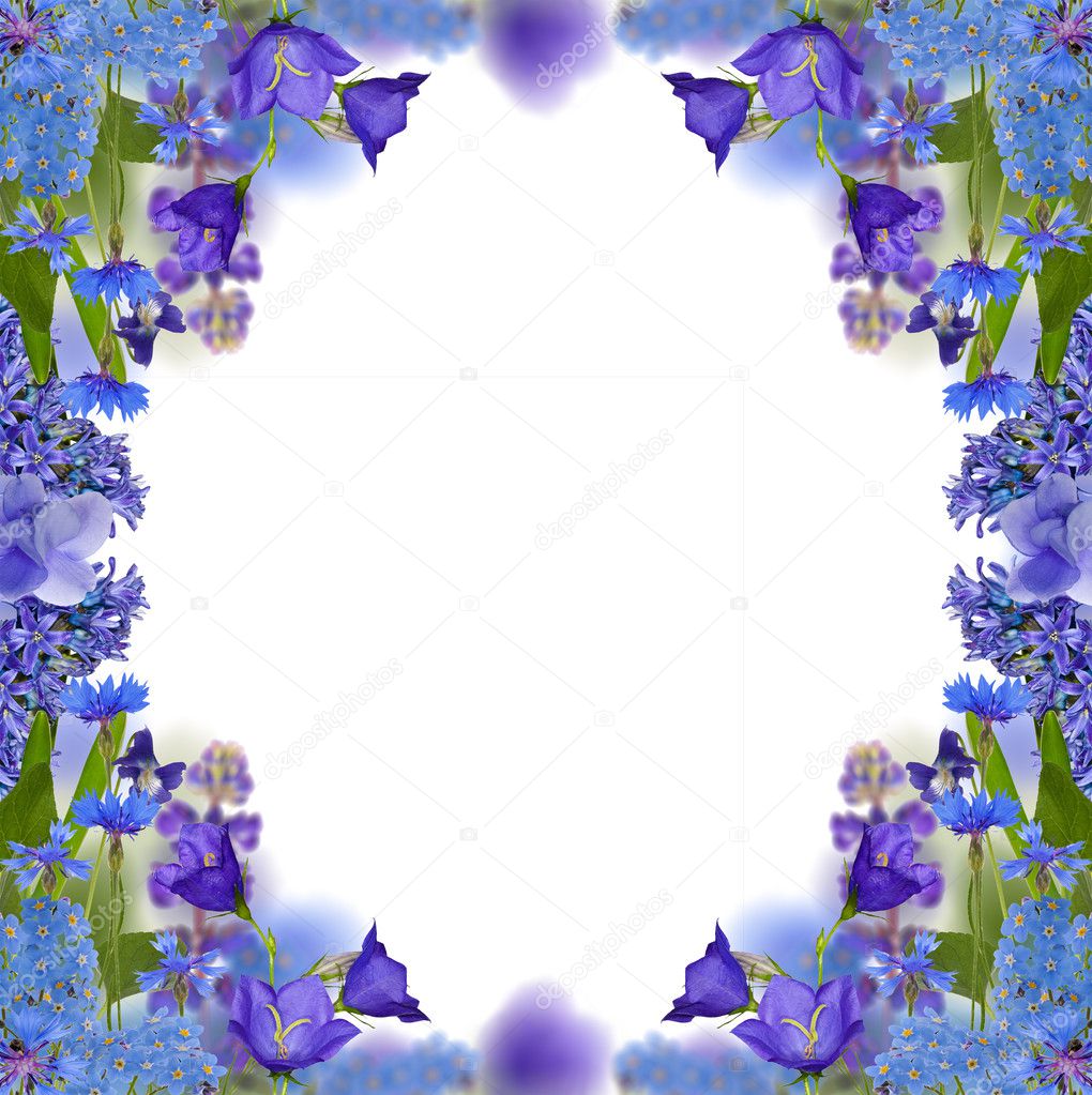 blue flowers frame isolated on white