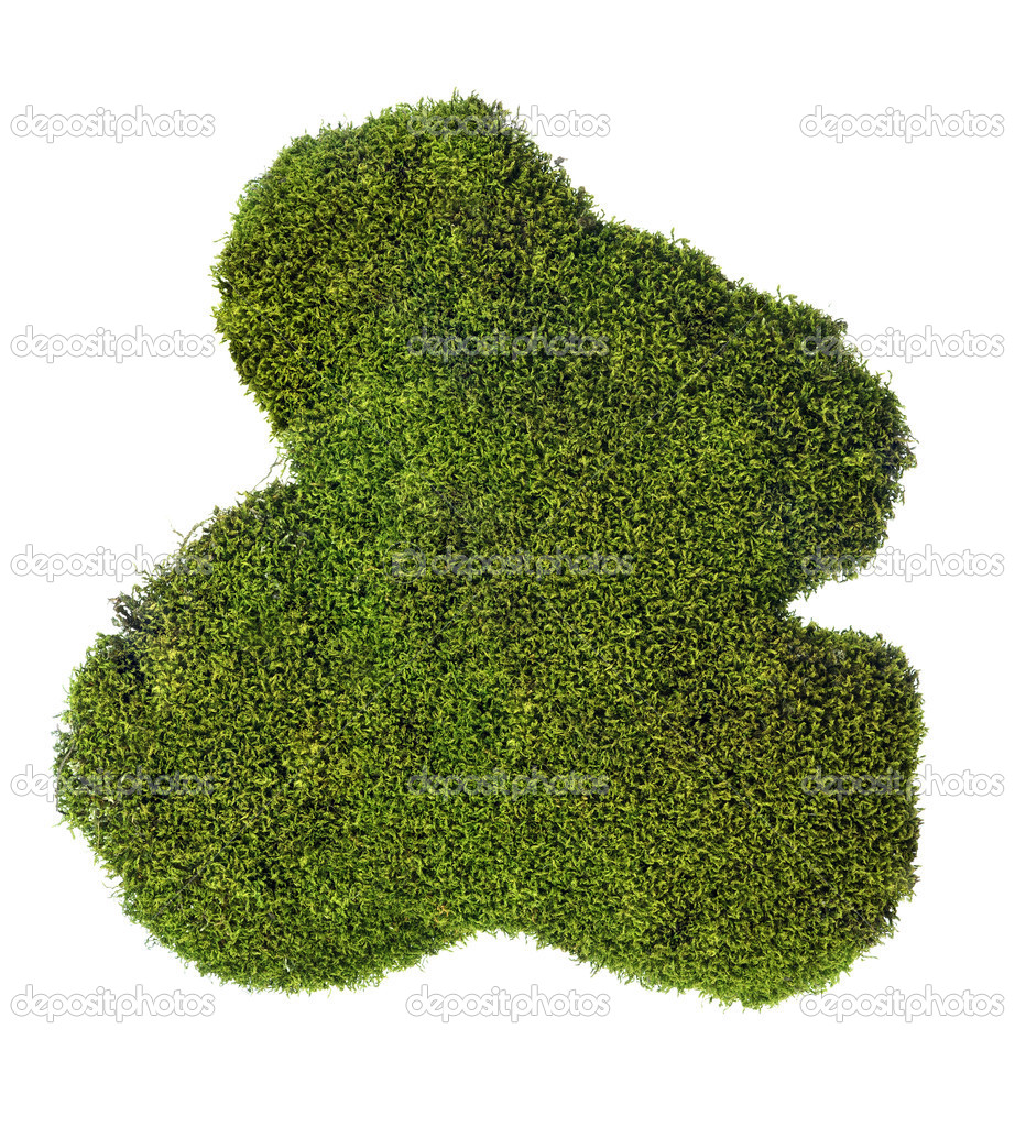 deep green moss on white