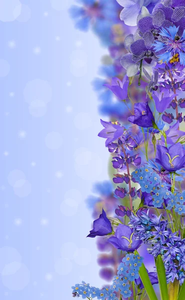 Strip from blue flowers — Stock Photo, Image