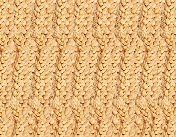 Background from ears of wheat — Stock Photo, Image