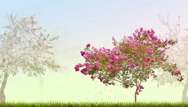 Růžový květ strom v zelené trávě — Stock fotografie