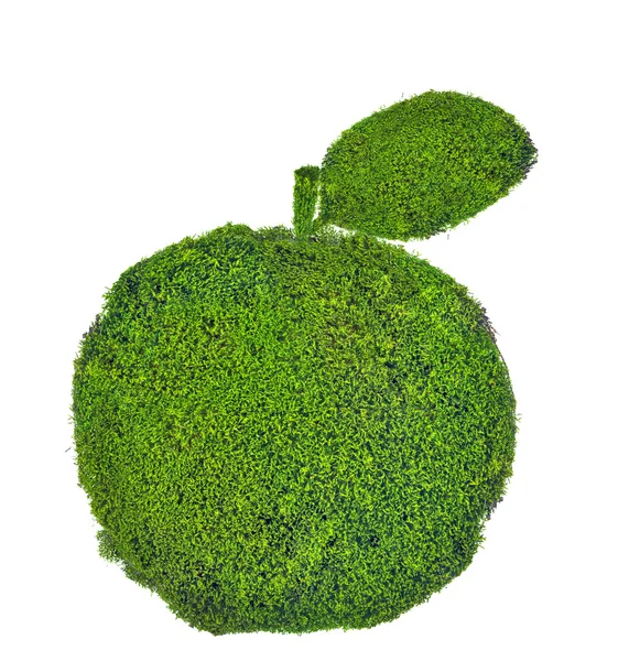 Apple with leaf from green moss isolated on white — Stock Photo, Image