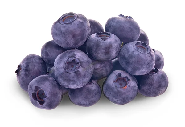 Haldy Blueberry se stínem — Stock fotografie