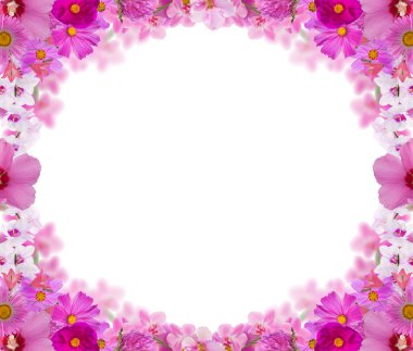 birçok farklı Pembe çiçek çerçevesinden