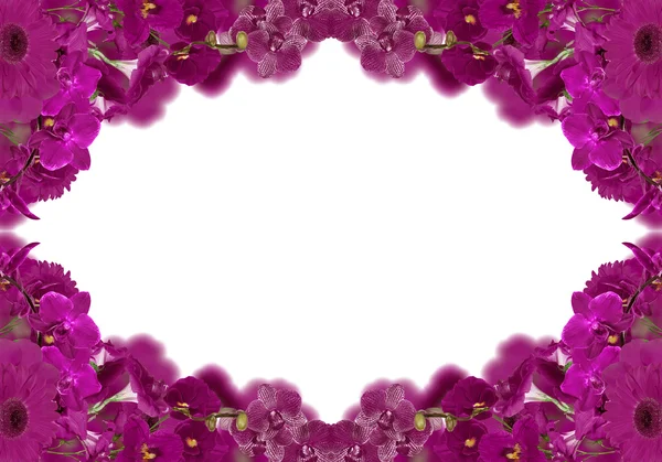 Dark pink color flowers frame — Stock Photo, Image