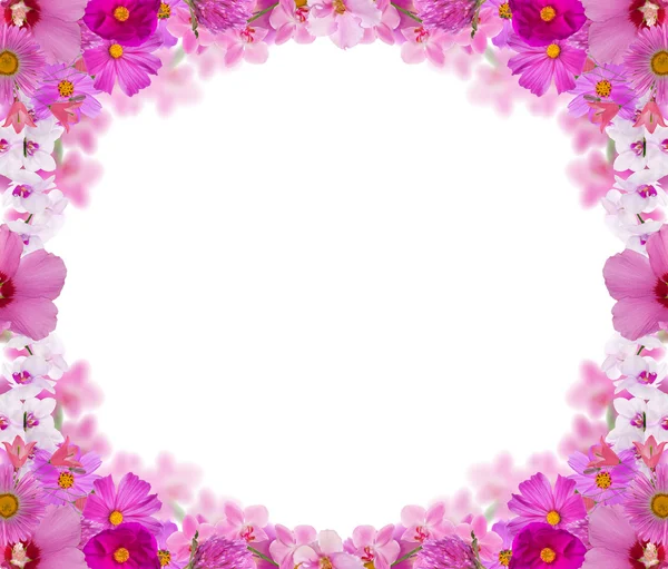 Rahmen aus vielen verschiedenen rosafarbenen Blüten — Stockfoto