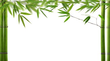 geen bambu beyaz üzerine gelen yarım çerçeve