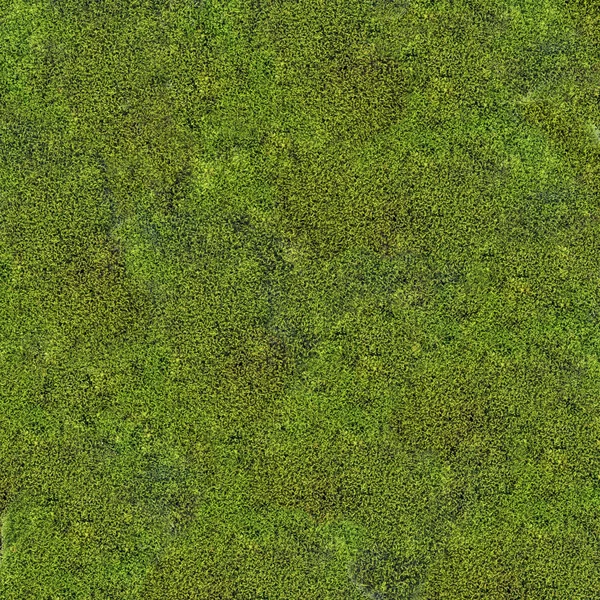 Темно-зеленый мох — стоковое фото