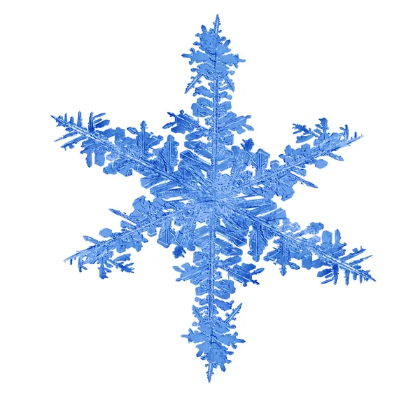 Μπλε snowflake — Φωτογραφία Αρχείου