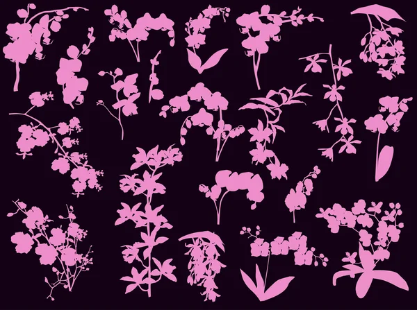 Collection of pink orchid silhouettes isolated on black — Stock Vector