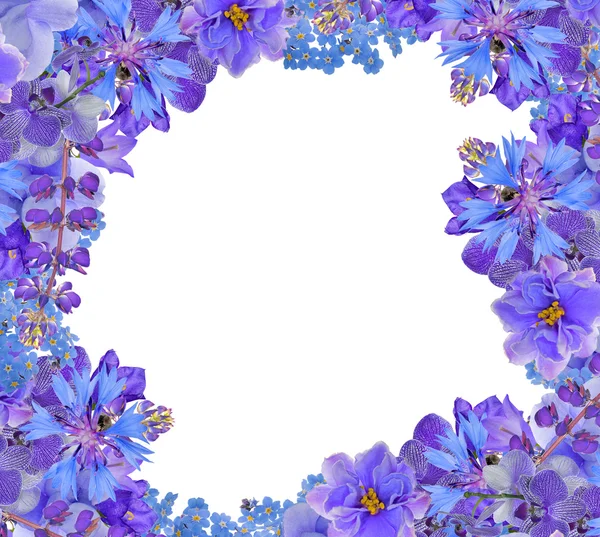 Marco frontal flores azules aisladas en blanco — Foto de Stock