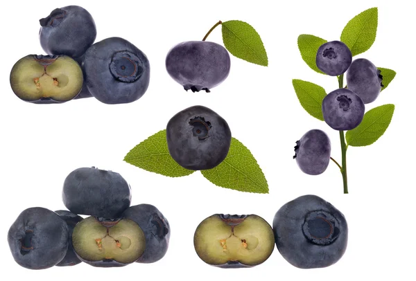 蓝莓集合上白色孤立 — 图库照片