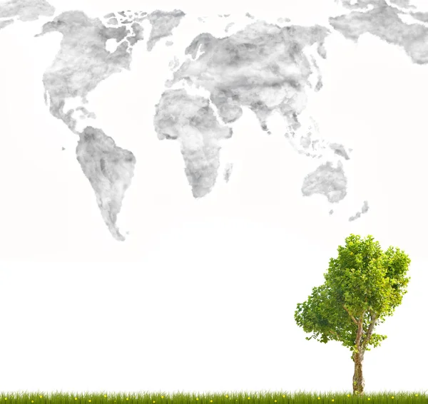 Green tree and global map from clouds — Stock Photo, Image