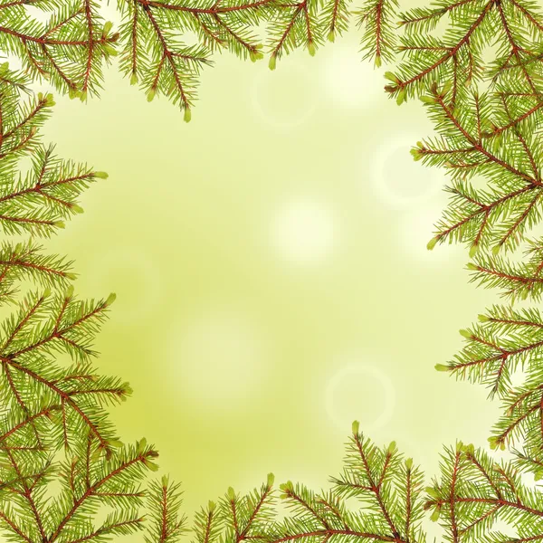Fir branches frame on green background — Stock Photo, Image