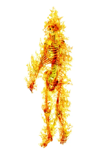Human skeleton in flame on isolated on white — Stock Photo, Image
