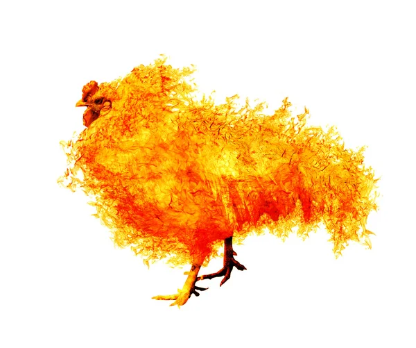 Gallo de llama aislado en blanco —  Fotos de Stock