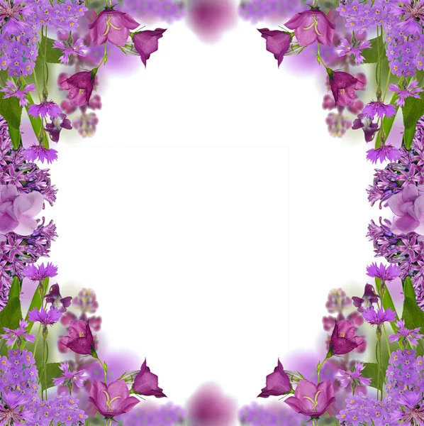 Cadre de fleurs de couleur violette isolé sur blanc — Photo