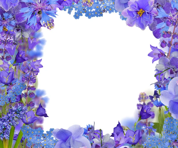 Frame fronm blue flowers on white — Stock Photo, Image