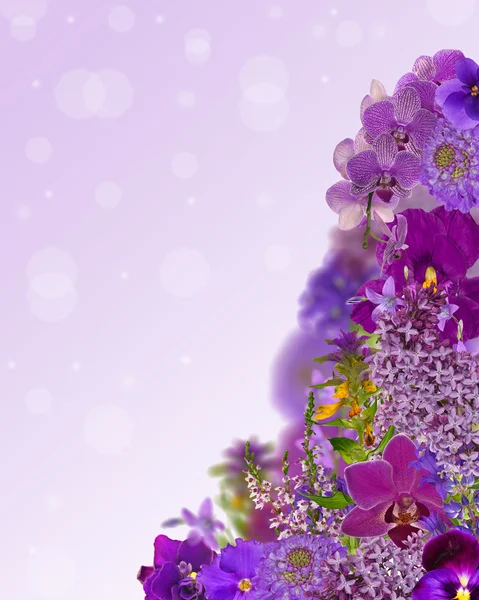 Lilac color corner from flowers — Stock Photo, Image