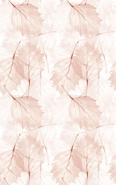 Hellbrauner nahtloser Hintergrund aus Blättern — Stockfoto