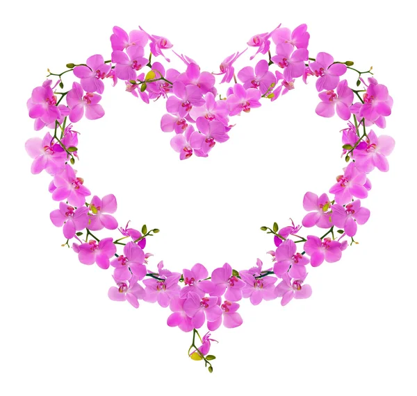 Herzförmiger Rahmen aus rosa Orchideenblüten — Stockfoto