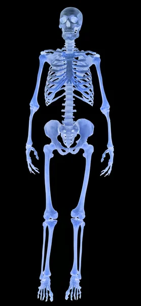 Full-face human skeleton on black — Stock Photo, Image