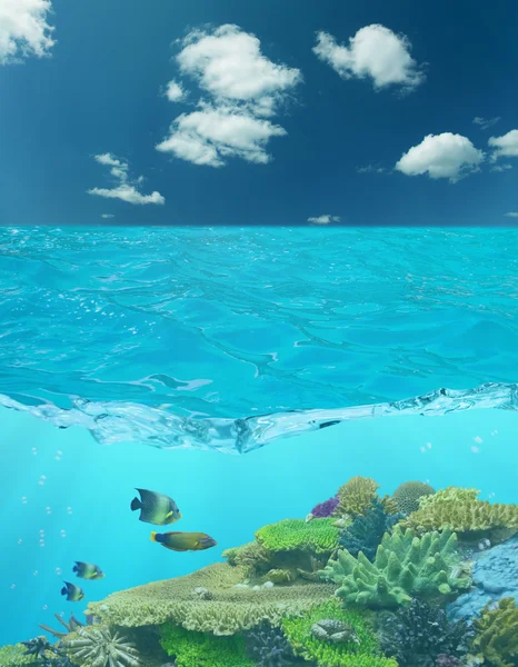 Cay onder blauwe water en cloud hemel — Stockfoto