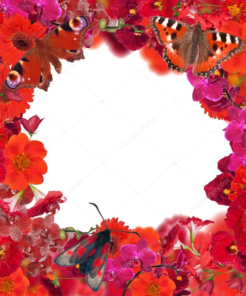 decoration with red flowers and butterflies frame